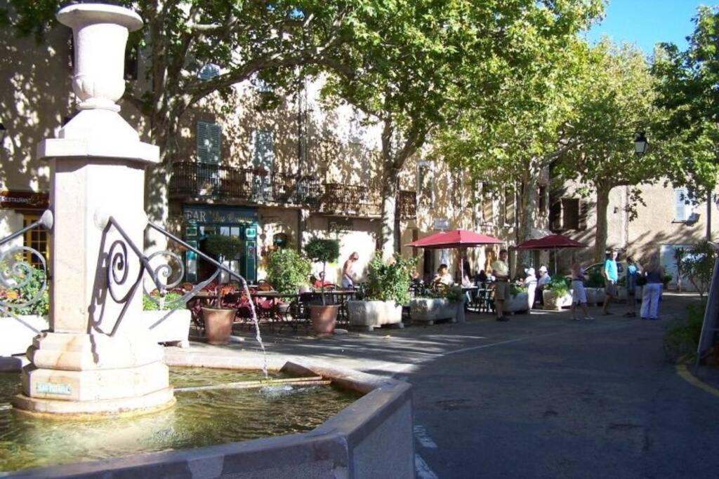 Gîte provençal indépendant avec piscine chauffée : LE SUY BIEN Flayosc Extérieur photo