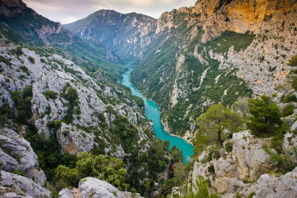 Gîte provençal indépendant avec piscine chauffée : LE SUY BIEN Flayosc Extérieur photo