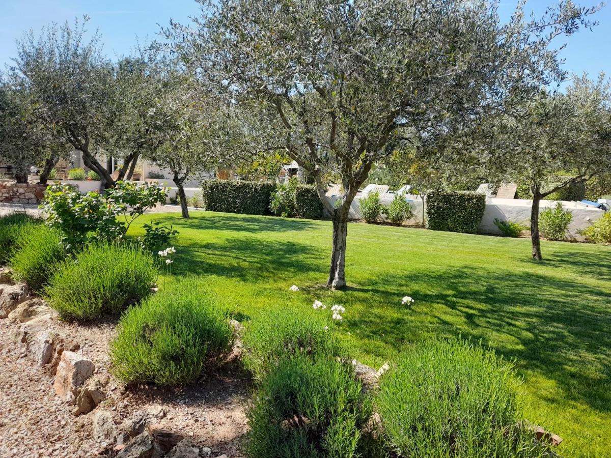 Gîte provençal indépendant avec piscine chauffée : LE SUY BIEN Flayosc Extérieur photo