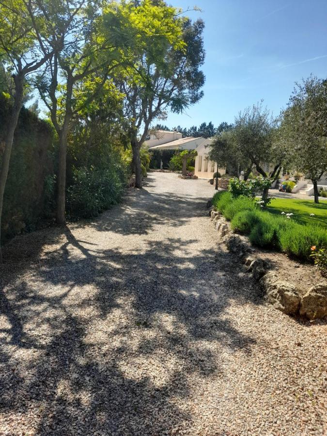 Gîte provençal indépendant avec piscine chauffée : LE SUY BIEN Flayosc Extérieur photo