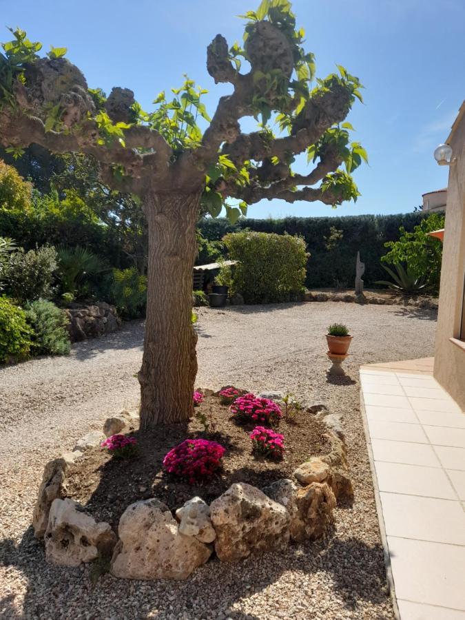 Gîte provençal indépendant avec piscine chauffée : LE SUY BIEN Flayosc Extérieur photo